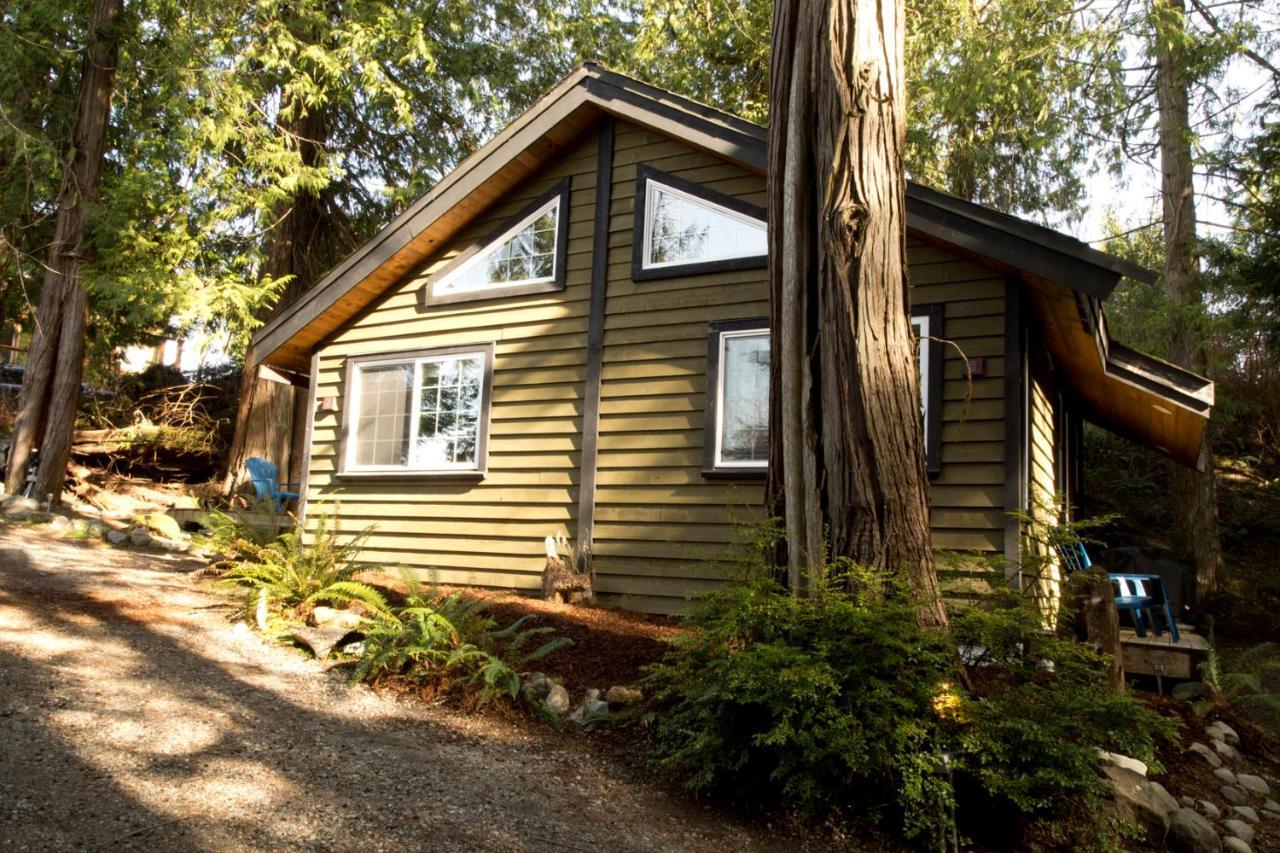 אוקלולט Surfs Inn Rainforest Cottages מראה חיצוני תמונה